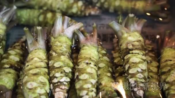 在筑地鱼市场卖的新鲜芥末。日本寿司饭食物的主要成分