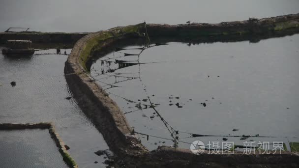 忽视鲍鱼池在海边视频