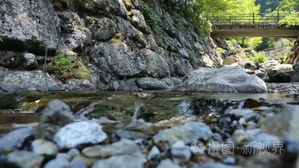 在花园里水流通过岩石小流视频