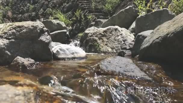 在花园里水流通过岩石小流视频