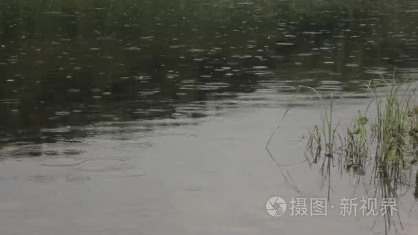 雨水滴落在平静的河水上视频