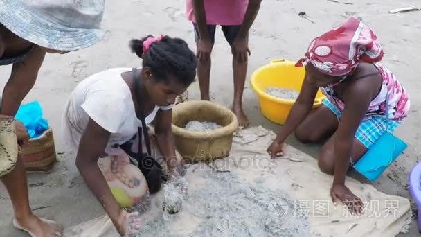 当地渔民在海上，女人选择抓鱼