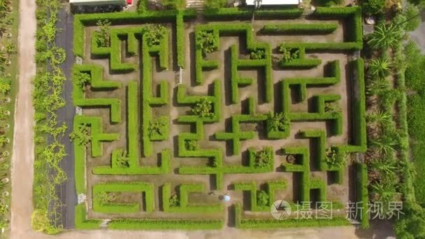绿色迷宫花园背景短视频
