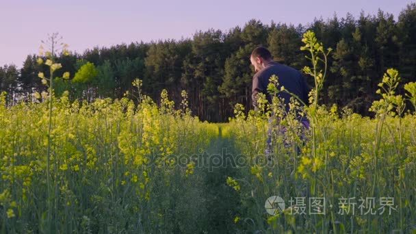 父亲演奏与油菜田间的婴孩，并且把它投慢动作