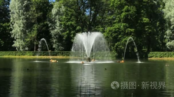 水湖夏季自然喷泉视频