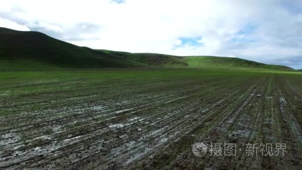 绿色的山丘附近种植场视频