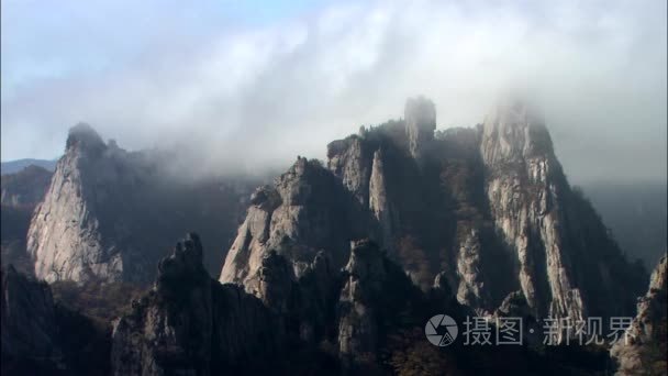 在高山雾视频