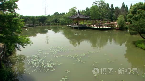 古建筑池塘岸边视频