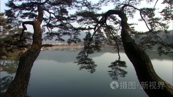 古老的传统建筑在韩国的湖面上视频