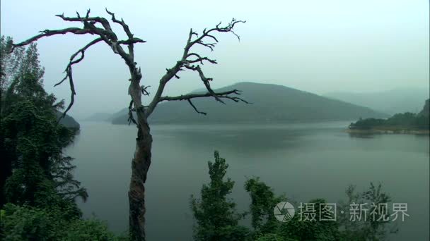 湖四面环山的树视频