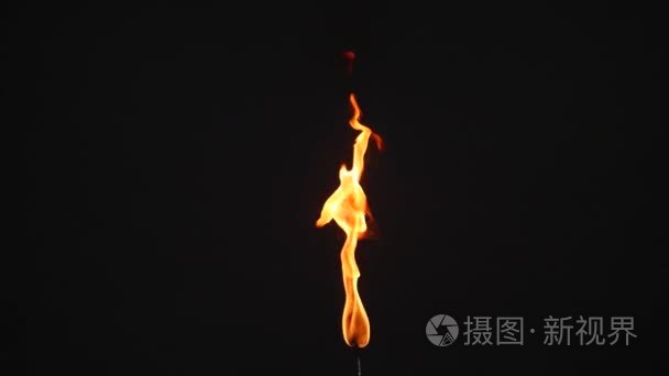 在黑色背景上的垂直单火炬火焰视频
