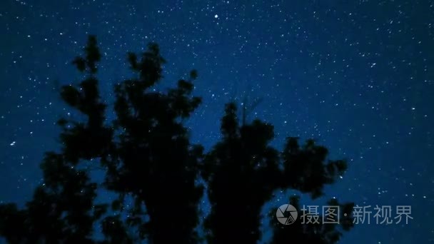 星星在夜空中移树。时间流逝