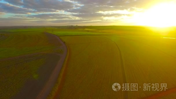 甘蔗种植场鸟瞰图视频