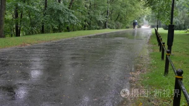 华沙公园下雨天视频