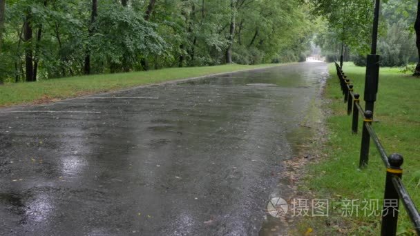 华沙公园下雨天视频