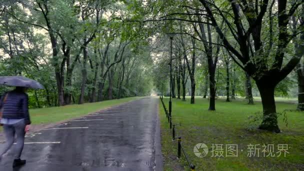 华沙公园下雨天视频