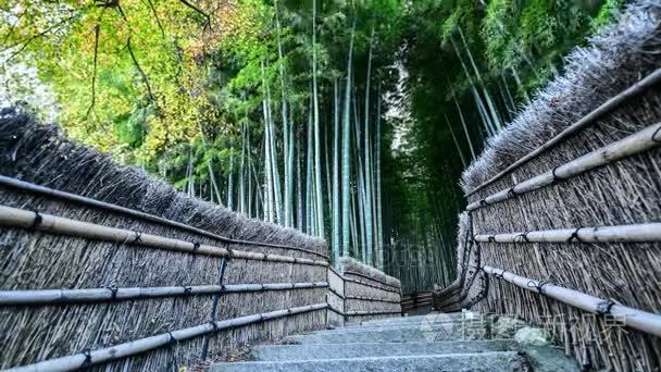 在日本京都岚山竹林视频