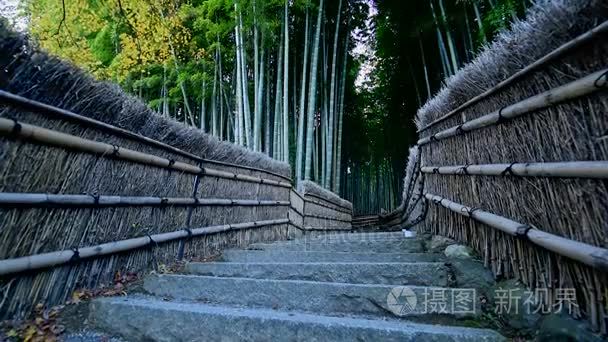 在日本京都岚山竹林视频