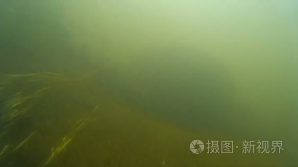 根据水的快速流动山流视频视频