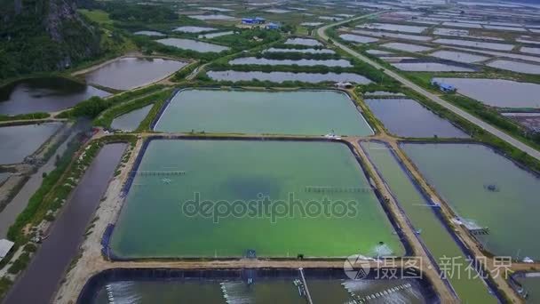 泰国讪从上面养虾场视频