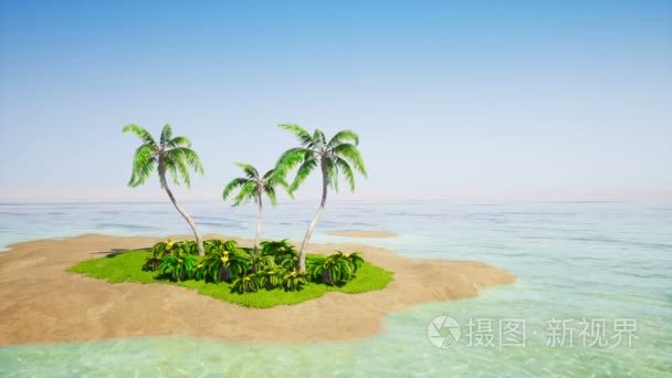 热带岛屿与棕榈树和晴朗的天空视频