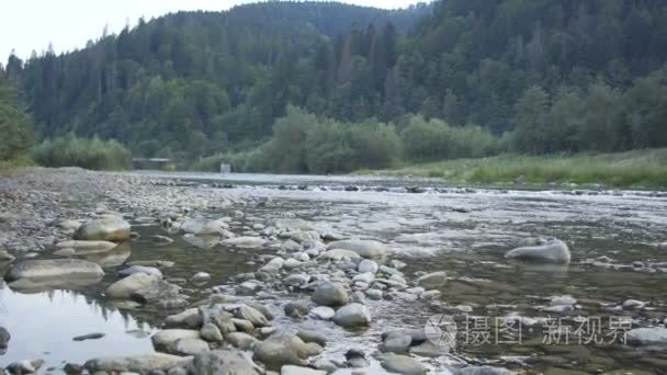 山区河流流经森林视频