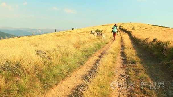 女性的徒步旅行者哈士奇狗山视频