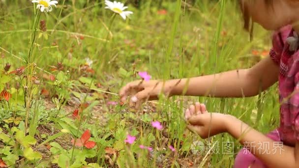 孩子在森林里采摘野草莓视频