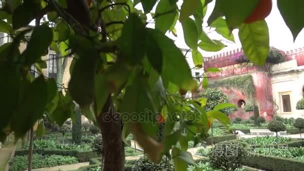 La Casa Pilatos （彼拉多房子） 是塞维利亚，西班牙永久居留的南纳塞利公爵，文艺复兴时期的意大利语和 Mudeja