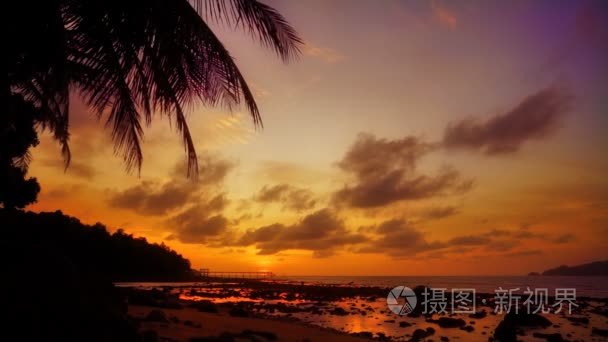 美丽的金发女郎，皮肤晒黑，在夕阳的海洋背景下微笑的肖像视频