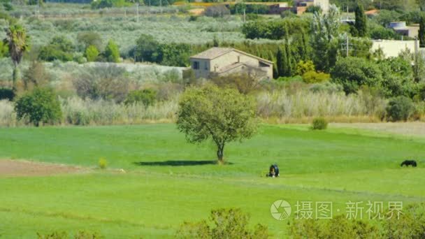 欧洲房子农场分成绿地西班牙视频