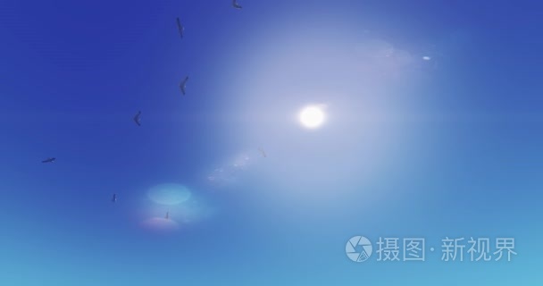 4 k 海鸥飞过去的阳光，阳光  太阳耀斑，天堂景象视频