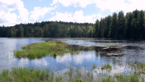 在安大略省的平静河视频
