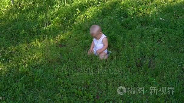 小宝宝静静地坐在草丛中视频