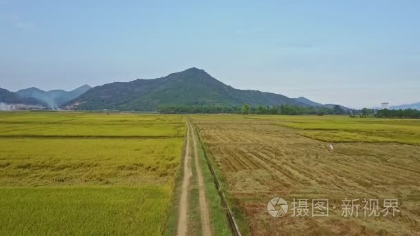 越南村庄稻田视频