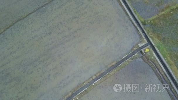 水稻种植用水运河视频