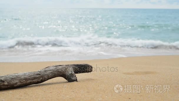 原木木材在海滩上视频