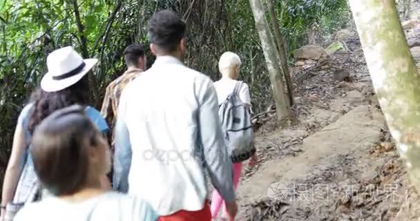 群在森林后面后视，人的小路上徒步旅行一起，年轻的旅行团队徒步旅行的游客