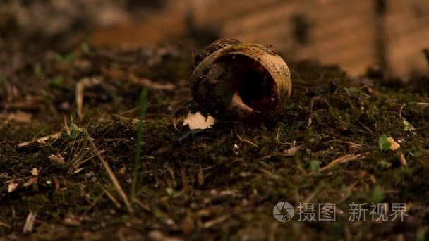 死蜗牛地板短视频