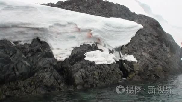 在南极洲海洋雪海岸线上的血视频