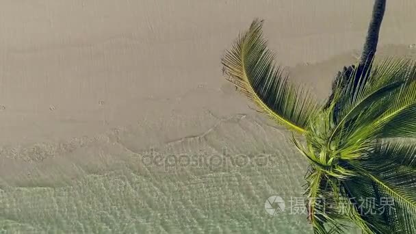椰子棕榈树上热带岛屿海滩和大海的波浪，航拍视频