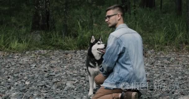 西伯利亚雪橇犬在自然有趣的狗视频