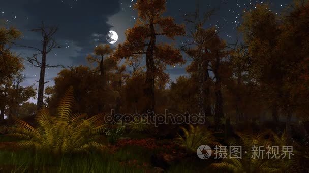 可怕的秋天的树林在月圆夜 4 k