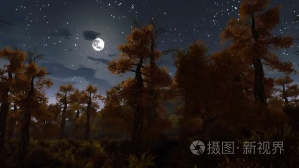 满月在幽灵般的夜晚森林 4 k