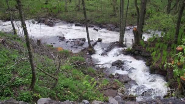 野生的瀑布和格鲁吉亚山区流视频