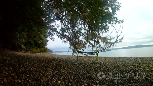 西北海岸和干海带视频