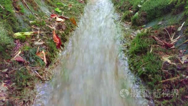 美丽的山溪流瀑布河流淌在绿色夏季森林