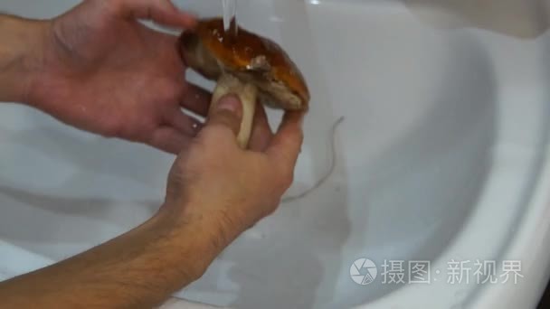 男子清洗蘑菇视频