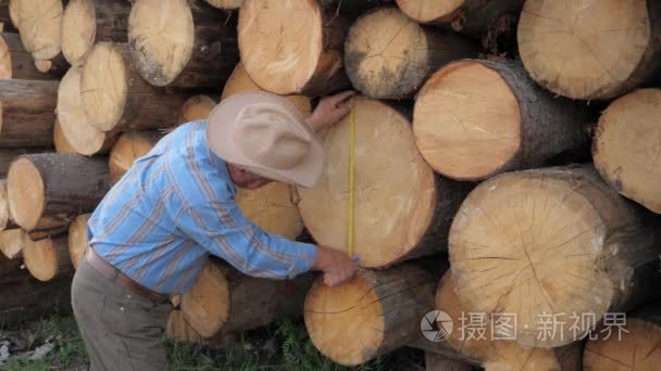 锯木厂工人措施躺堆栈的日志的厚度将结果写入视频