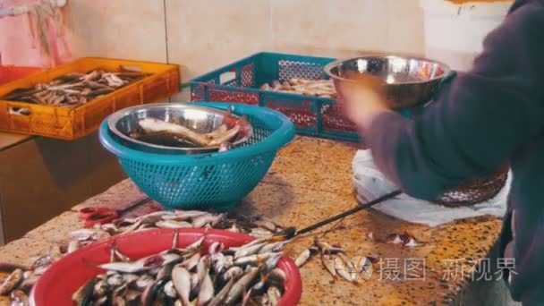 缩放和切割鱼在街市卖鱼的小贩视频